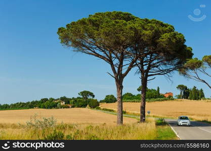 Old typical Tuscan farmhouse in Italy