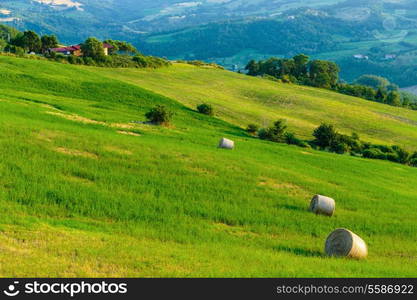 Old typical Tuscan farmhouse in Italy