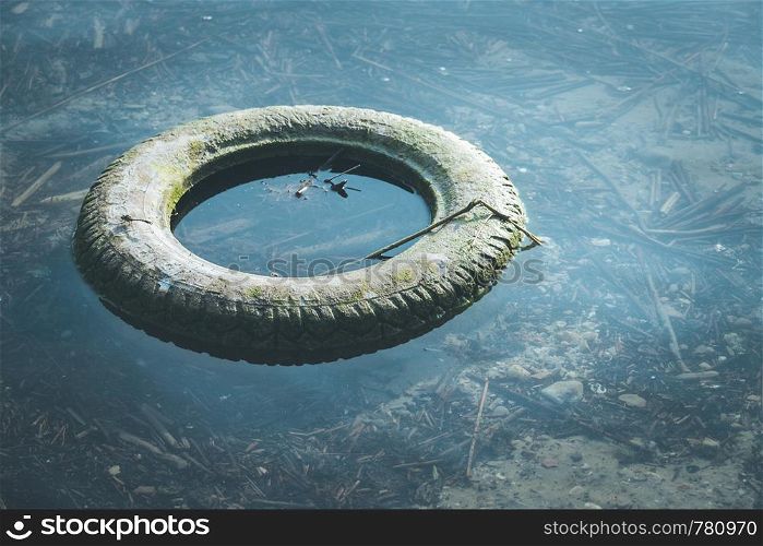 Old tyre is lying in the water, coastline, environmental pollution