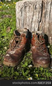 Old used weathered moldy grunge man's leather shoes on green grass field by wooden trunk