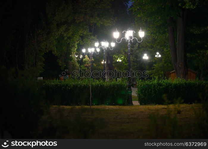 Old vintage lamp in the dark park