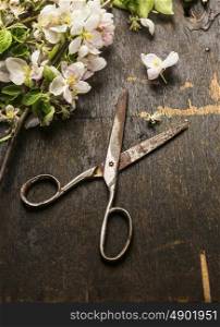 Old vintage scissors with garden blossom on dark rustic wooden background, close up