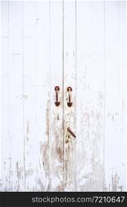 Old vitage wooden White Door with old latch handle