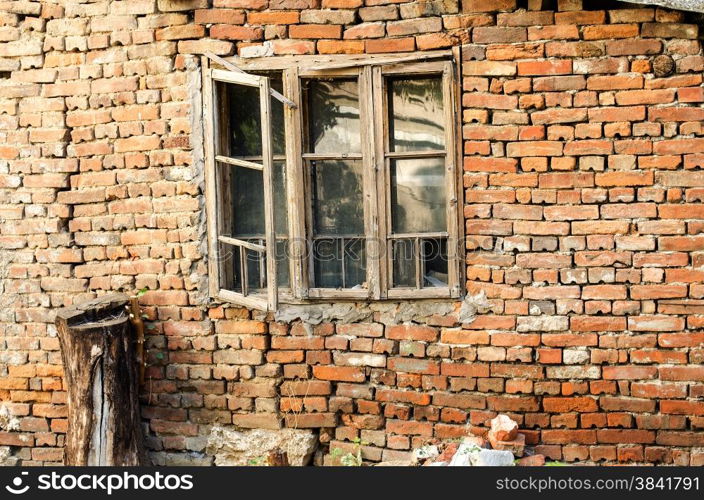 Old wall with broken window and tree