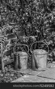 Old watering cans in vintage style image of English contry garden in black and white