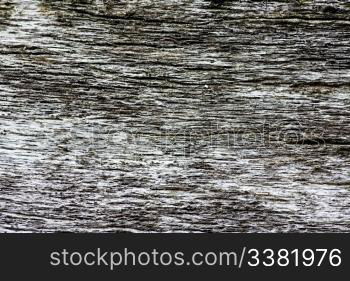 Old weathered drift wood texture