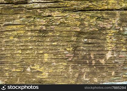 Old weathered grunge wooden board with peeling and faded paint as background