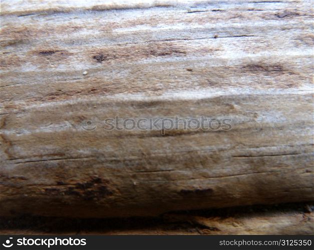 old weathered wood as a background