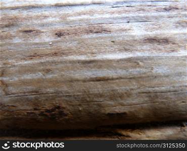 old weathered wood as a background