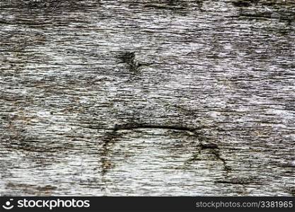 Old weathered wood background texture