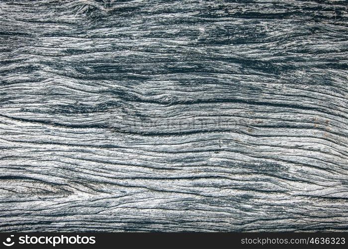 Old weathered wood. Pattern of old weathered gray wood close up