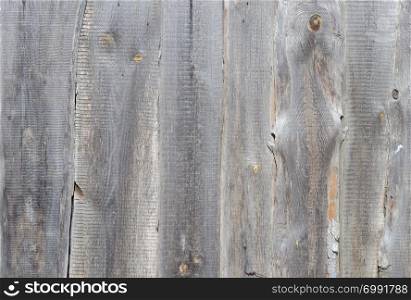 Old weathered wooden surface texture with knots and nail