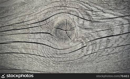 Old weathered wooden texture with rings and cracks pattern