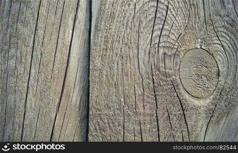 Old weathered wooden texture with rings and cracks pattern