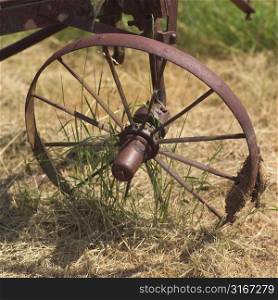 Old wheel in dead grass
