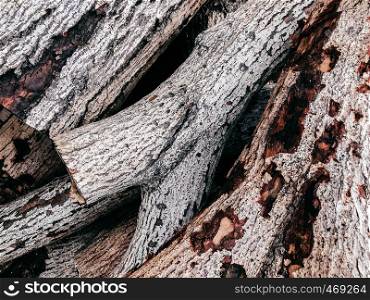 Old white wood log texture surface close up rough wood texture