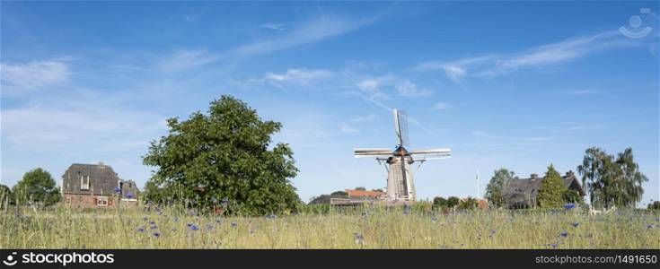 old windmill and summer flowers in village of Rha in the netherlands between arnhem and zutphen