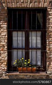 old window grate and yellow flower in the centre of colonia del sacramento uruguay