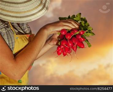 Old woman gardener, senior lady growing organic green vegetables and fruits, summer garden, retired people active lifestyle leisure outdoor, elderly working in field, woman farmer, harvest on sunset