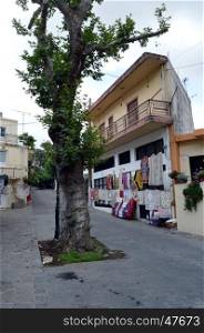 Old woman tree in the middle of the road in a Cretan village.