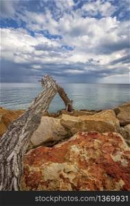 Old wood at colorful stones on a shore with beauty clouds at the horizon. Vertical view