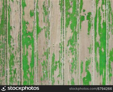 Old wood board painted green, background texture