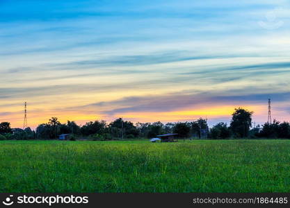 Old Wood cottage and Scenic view landscape of Rice field green grass with field cornfield or in Asia country agriculture harvest with with fluffy clouds blue sky sunset evening background.