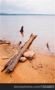 Old wood log stump on yellow sandy beach shore of river or dam with mountain view background