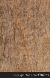 old wood texture