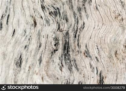 Old wood texture background surface top view.Vintage and grunge wood background. Timber background of wood pattern.