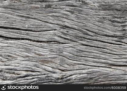 Old wood texture. Old weathered gray wood texture close up