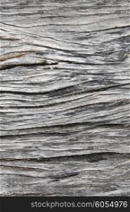 Old wood texture . Old weathered gray wood texture for background