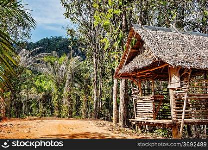 Old wooden abandoned house in the tropics