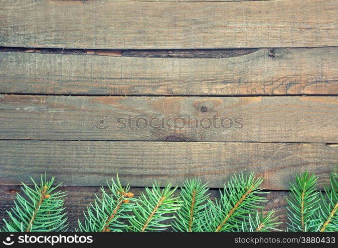 Old wooden background with pine branch, image of flooring board