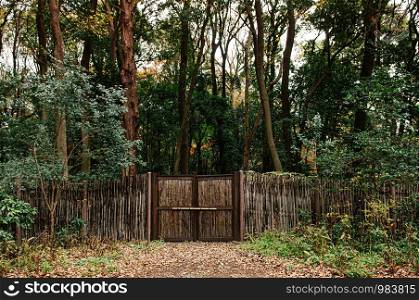 Old wooden bamboo fence with gate in lush green forest under very high trees - Tokyo green space