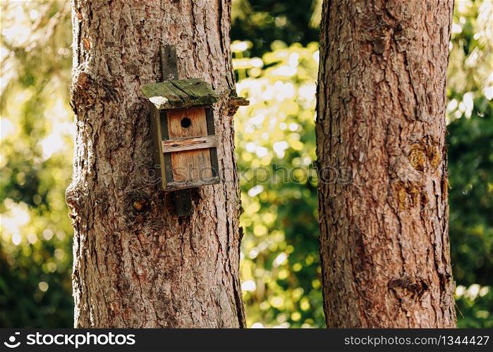 old Wooden bird house on a tree in the forest. Bird feeder on a tree in one of the parks. Caring for the environment.. old Wooden bird house on a tree in the forest. Bird feeder on a tree in one of the parks. Caring for the environment