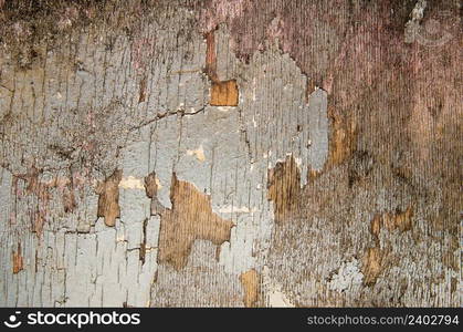 old wooden board, background