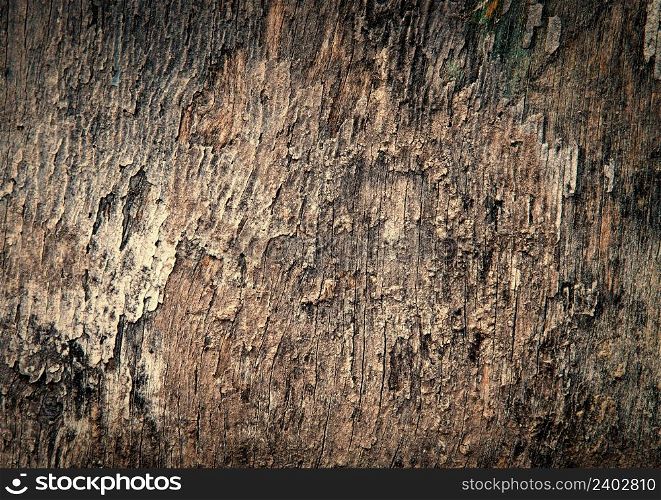 old wooden board, background