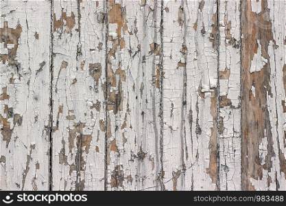 Old wooden boards with peeling white paint. Background, texture.