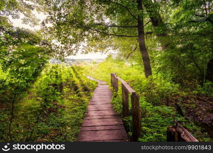 Old wooden bridge in forest and bright sunbeams at sunrise. Bridge and sunbeams