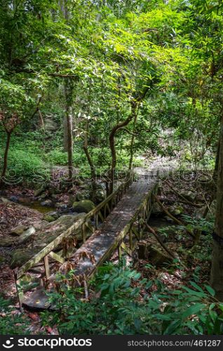 Old wooden bridge in jungle forest, Chiang Mai, Thailand. Old wooden bridge in jungle, Chiang Mai, Thailand