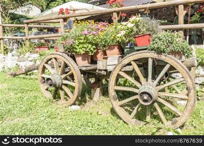 Old wooden cart with pots of blooming flowers of summer