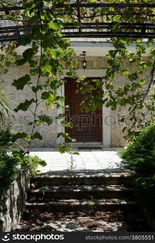 Old wooden door and grapes in Kotor, Montenegro