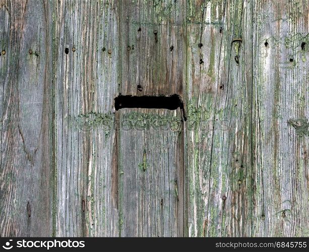 old wooden door with letter box background