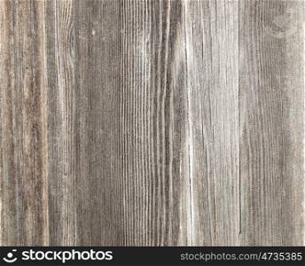Old wooden fence board. Close up. Wood texture