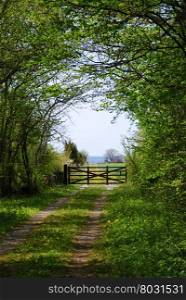 Old wooden gate at a farmers road in a green spring colored landscape