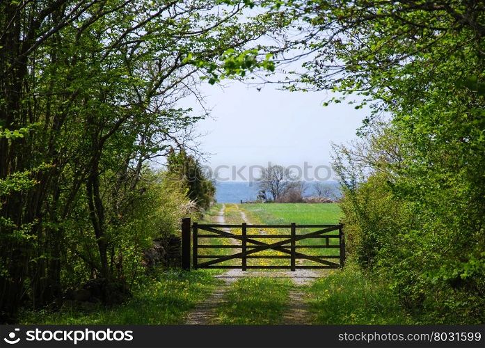 Old wooden gate at a farmers road in a spring green landscape