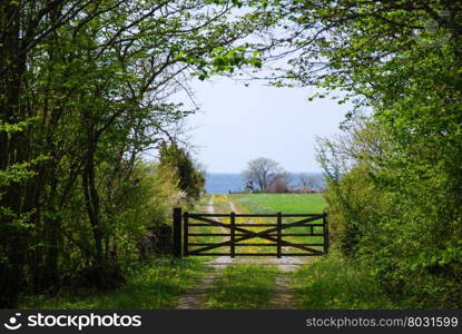 Old wooden gate at a farmers road in a spring green landscape