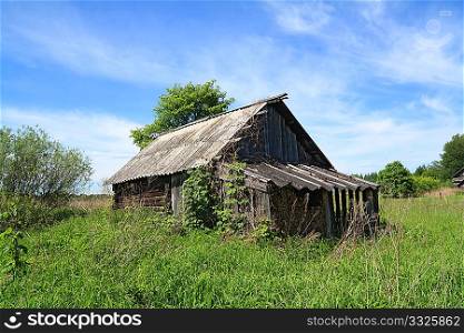 old wooden house amongst herbs
