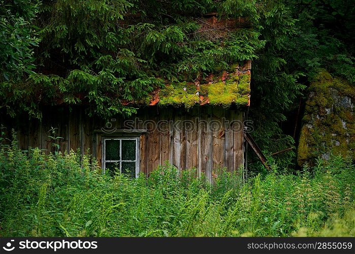 Old wooden house in forest